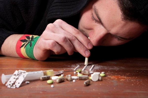 Как восстановить кракен