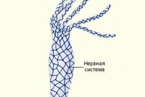 Кракен омг мега