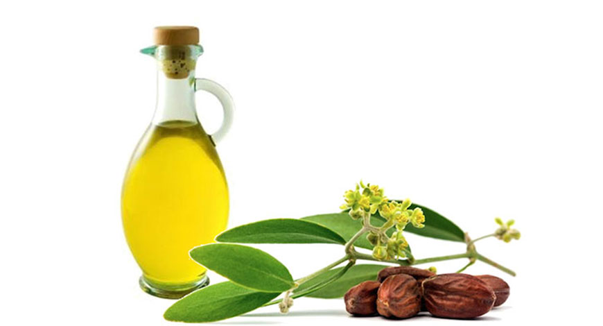 Solaris даркнет